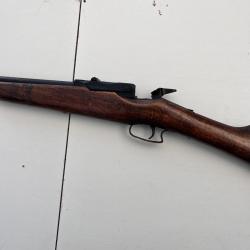 &nbsp;carabine warnant