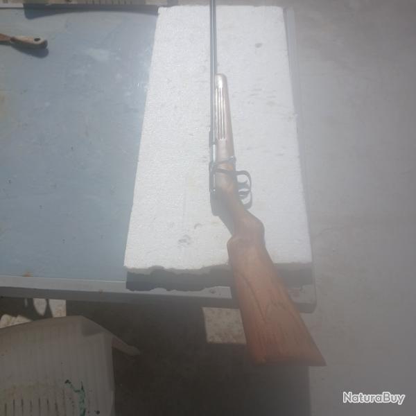 Carabine manuarm 12mm