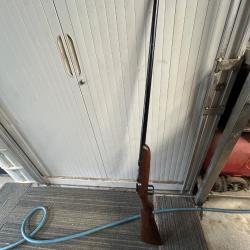 Carabine 12mm Webley and scott