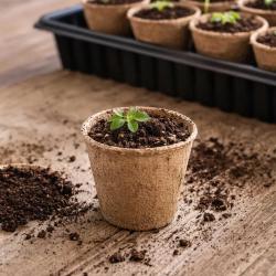 16 Pots Biod&eacute;gradables Ronds &Oslash;6cm pour Semis et Culture