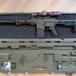 ARES AR308 series custom HPA