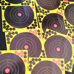 cible 8pouces lot de 10 cibles