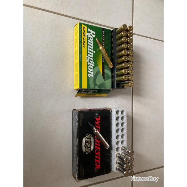 lot de balles 300 win mag