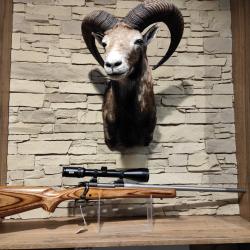 Carabine Winchester M 70 cal 270 WSM + Lunette Tasco Titan 3-12x52 - 1 � sans prix de r&eacute;serve