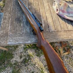 REMINGTON Mod&egrave;le 660 - Ench&egrave;res &agrave; 1� sans prix de r&eacute;serve.