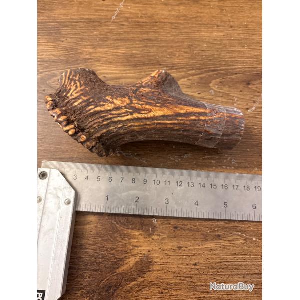 Bois de cerf - 10