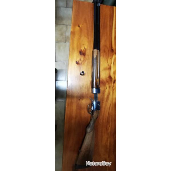 Baby bretton , calibre 12