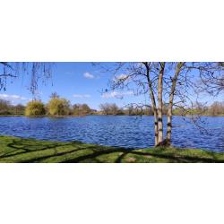 Domaine de 9.4 ha avec &eacute;tang de 3 ha - B&acirc;ti important - Fort potentiel p&ecirc;che / chasse