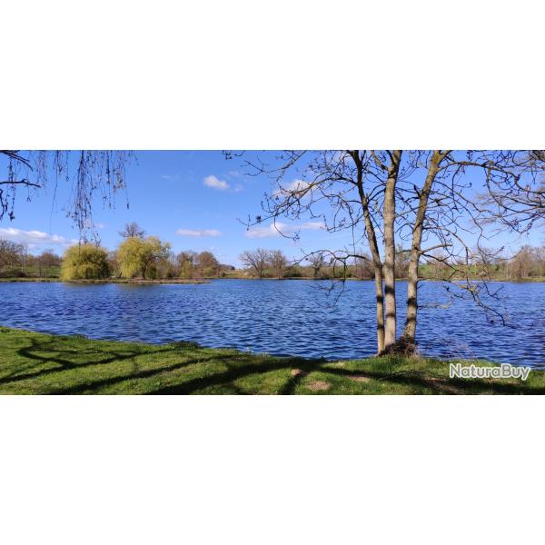 Domaine de 9.4 ha avec �tang de 3 ha - B�ti important - Fort potentiel p�che / chasse