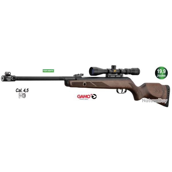 Carabine Gamo Hunter 440  AS + lunette 3-9 x 40 - Cal 4.5