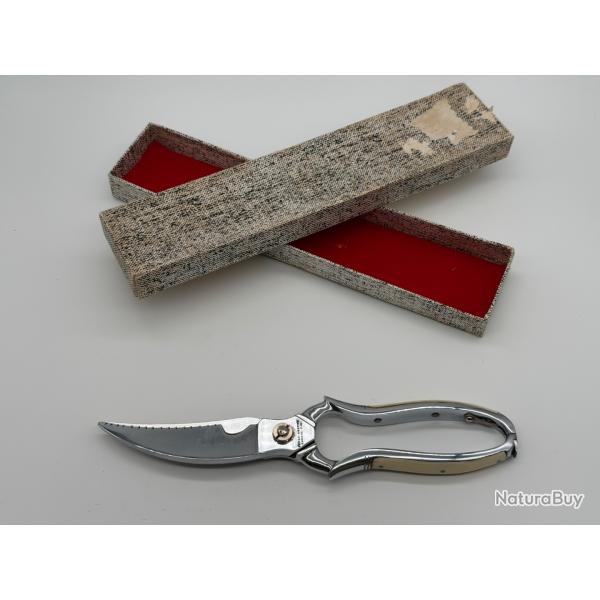 S�cateur Ciseaux Volaille Ancien Forge Nogent Collection Manche Corne Chrome CC coupe Os