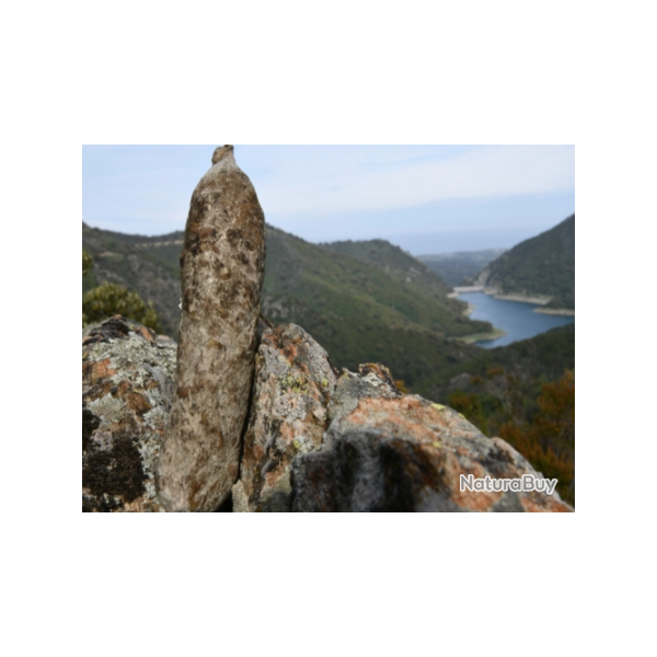 Saucisson corse Costantini en tranches: au top! 400g