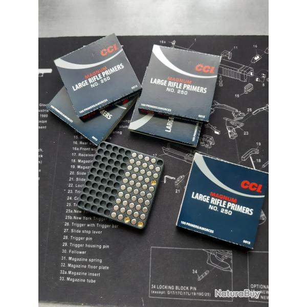 Amorces larges rifle magnum CCI