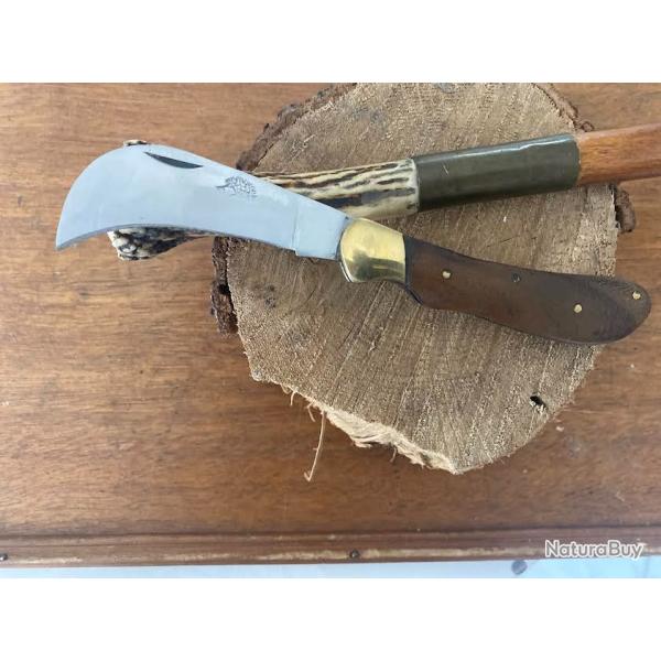 SERPETTE LE NICLO  ACACIA   (2026  7