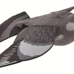 PIGEON MIRAGE EN VOL