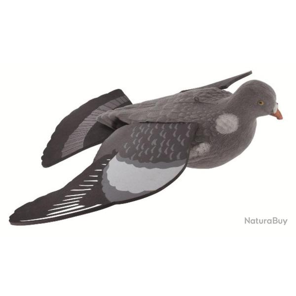 PIGEON MIRAGE EN VOL