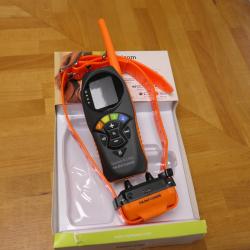 CANICOM R-1500 1 CHIEN   NEUF EN STOCK  TOP PRIX  DESTOCKAGE MAGASIN