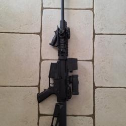 DPMS AR 10 308W EXCELLENT ETAT