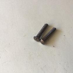 VENDU PAR LE-CUIRASSIER PAIRE DE VIS GRENADI&Egrave;RE DE CROSSE DE FUSIL GRAS ARTILLERIE /GENDARMERIE