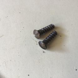 VENDU PAR LE-CUIRASSIER PAIRE DE VIS DE PONTET DE FUSIL GRAS ARTILLERIE /GENDARMERIE