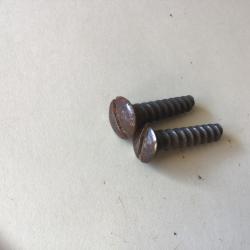 VENDU PAR LE-CUIRASSIER PAIRE DE VIS DE TALON DE CROSSE DE FUSIL GRAS ARTILLERIE /GENDARMERIE