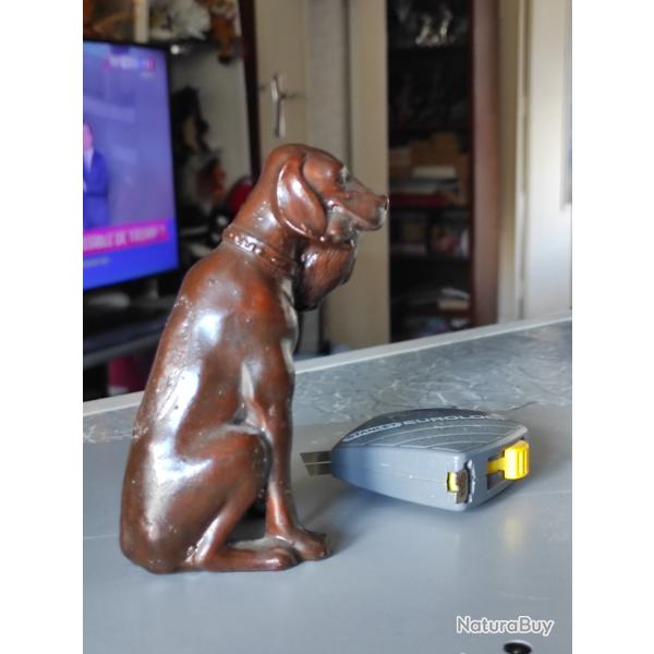 regule, joli chien de chasse avec un faisan dans la gueule