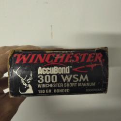 Boite de 20 Munitions Winchester 300 WSM