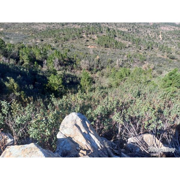 Monteria en Espagne.