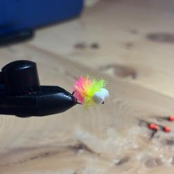 Boobies jaune/rose fluo #10