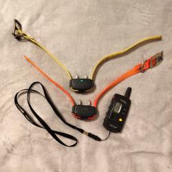 colliers de dressage CANICOM 300+