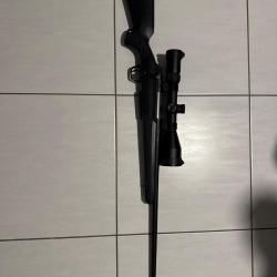 Carabine sx4 300 win mag