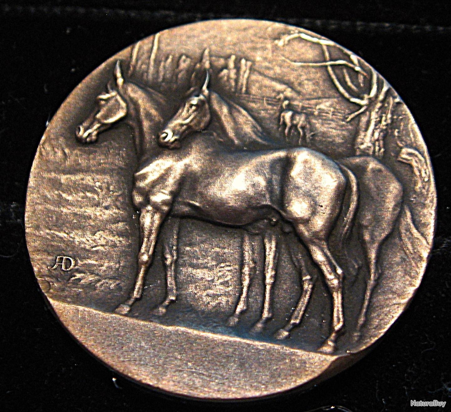 Médaille Bronze Hippique 1911 – Examens équitation Paris, Société Hippique, 41mm