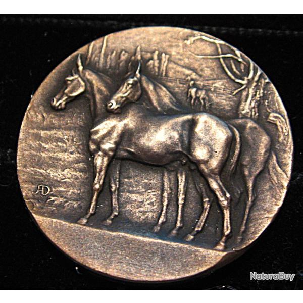 medaille A.D. "sport hippique " bronze 18,2 grs diametre 35,8 mm
