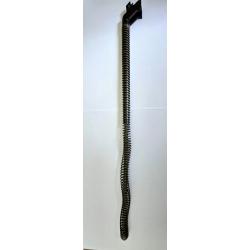 VENDS RESSORT RECULE AK 47