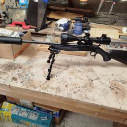 CARABINEBERGARABA 13 (SCOUT)243 WIN