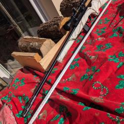 Jolie 22 lin&eacute;aire