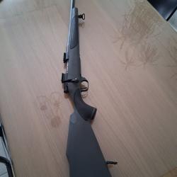 Weatherby vanguard 243 winscheter