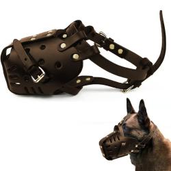 Museli&egrave;re Chien Cuir PU Respirante Anti Morsure R&eacute;glable Dressage Moyen Confort S&eacute;curit&eacute; Marron S