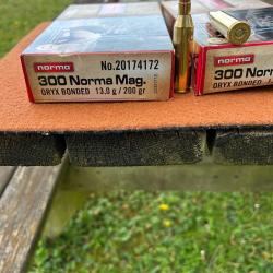 54 CARTOUCHES 300 NORMA MAG HYBRID TARGET 14.9 g