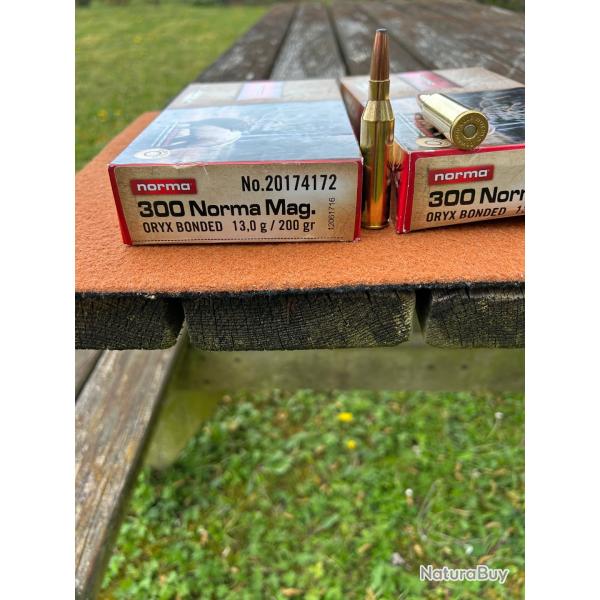 54 CARTOUCHES 300 NORMA MAG HYBRID TARGET 14.9 g