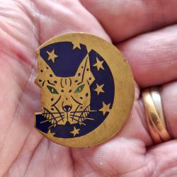 INSIGNE ESCADRON DE CHASSE TOUT TEMPS 12 / 30 ( DRAGO - A 617 )