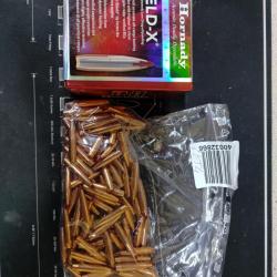 ogives hornady ELDX cal .284  175grs /100
