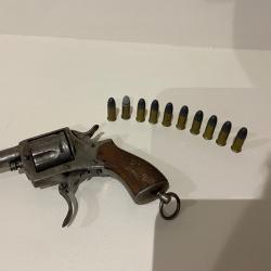 Revolver buldog 320