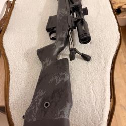 Bergara Carbone en 300 win