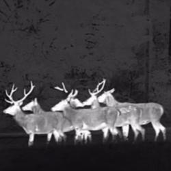 !!! PULSAR Axion XM30 !!!