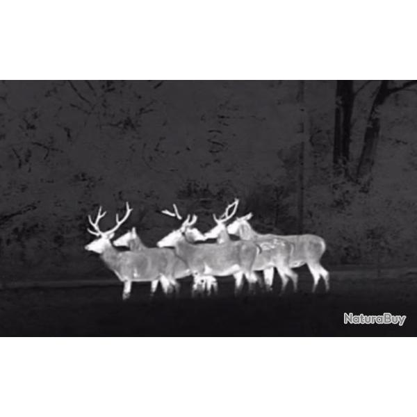 !!! PULSAR Axion XM30 !!!