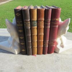 LIVRES ANCIENS - Ensemble de 6 livres anciens avec belle demi reliure en cuir - FRANCE(Vers 1920-30)