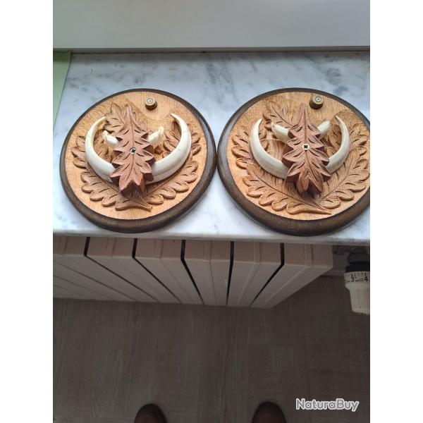 Jolie troph�e de sanglier