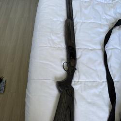 Fusil ball trap ata arms