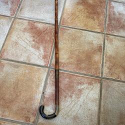 canne &eacute;p&eacute; Bambou